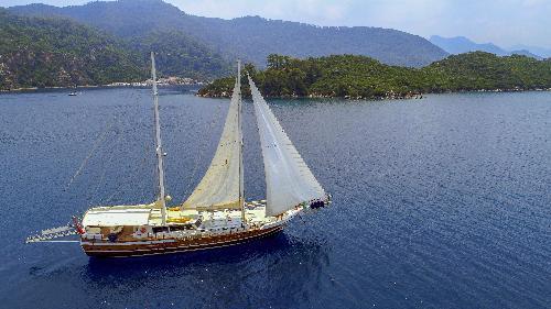 Beautifully Maintained